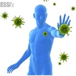 Exercise & The Immune System
